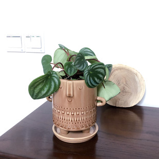 情绪稳定花盆艺术感多肉花盆创意可爱阳台桌面陶瓷绿植花盆送托盘