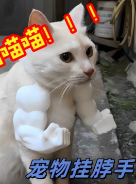 猫咪肌肉手臂挂件创意3D打印