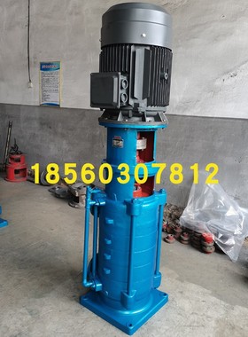 65DL30-16x6 立式多级泵 XBD8.5/10 消防泵15kw 博山水泵65DLx6