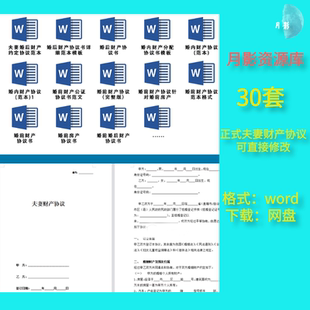 夫妻共同财产合同协议书婚前婚内约定协议财产分配房产word模板