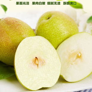 山西2025年当季新鲜水果平陆玉露香梨非隰县皮薄肉细包邮5斤