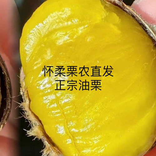 保真怀柔栗子农民自发实惠