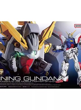 万代拼装模型 RG 42 1/144 闪光高达 机动武斗传 G高达 多蒙卡修