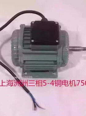 上海洲洲YS8034三相750W铜电机配套5-4轴流风机3136号 5.47KG