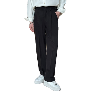2025春夏宽松小直筒休闲裤潮轻熟风抖音男士长裤A202K1006P65图片