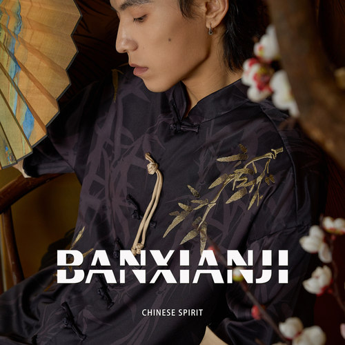 半闲集＜文竹＞国风短袖唐装