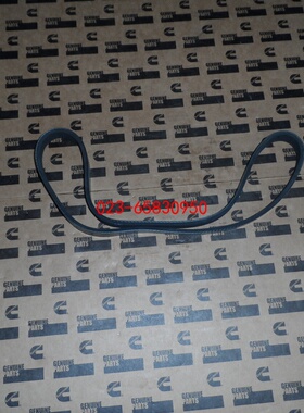 适配Cummins康明斯柴油发动机配件皮带 70495 178441 178452 Belt