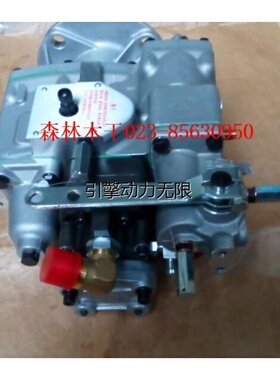 CUMMINS康明斯柴油发动机PT泵 3419216 大泵 燃油泵  燃油喷射泵