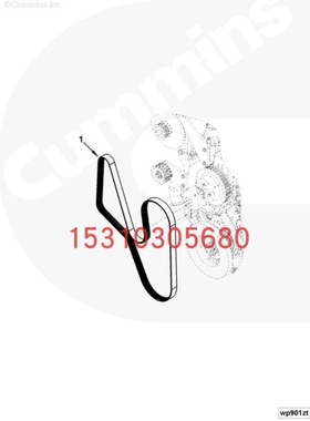 龙工LG6245E履带挖掘机(钩机)康明斯配件皮带3955181 3289779零件