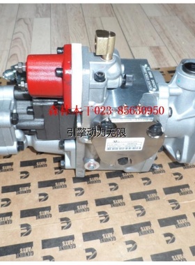 CUMMINS康明斯柴油发动机PT泵 3655100大泵 燃油泵  燃油喷射泵