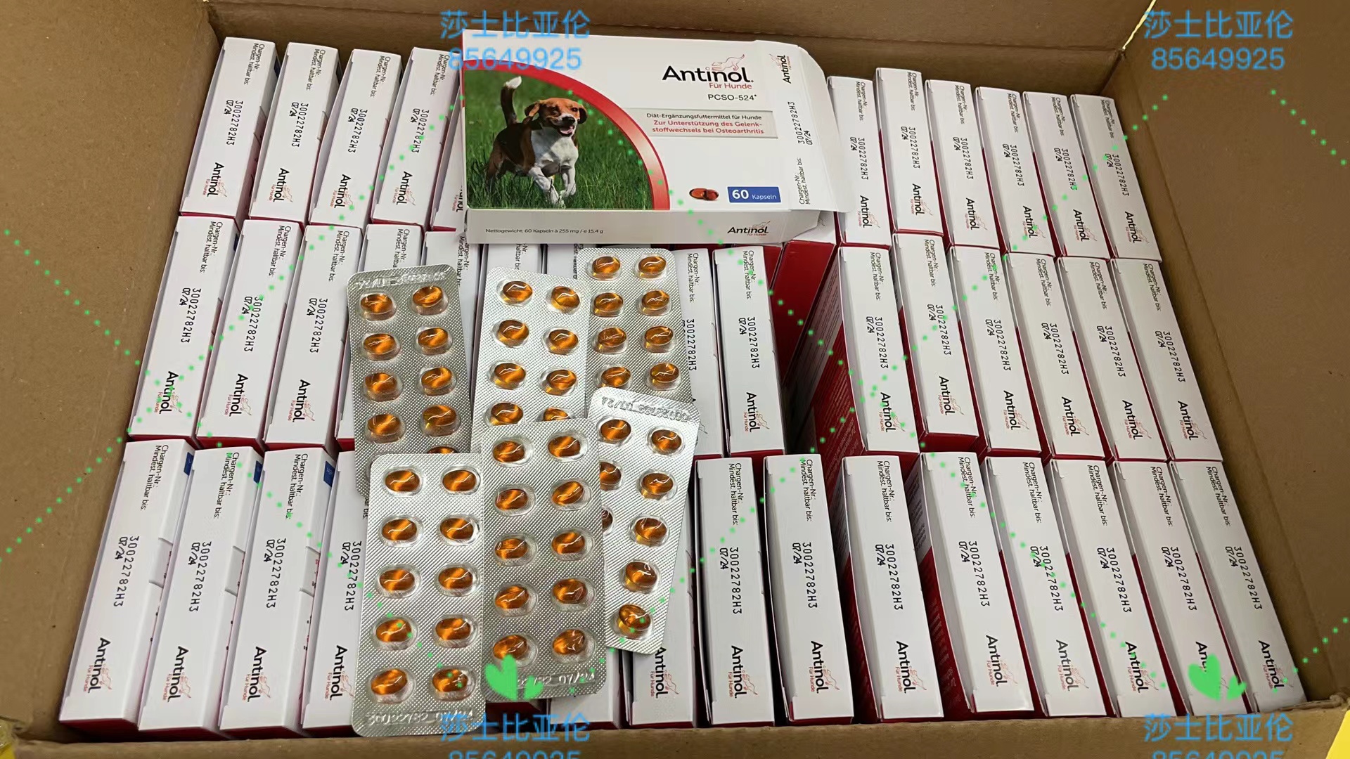 安适成分pcso-524防伪标软骨素