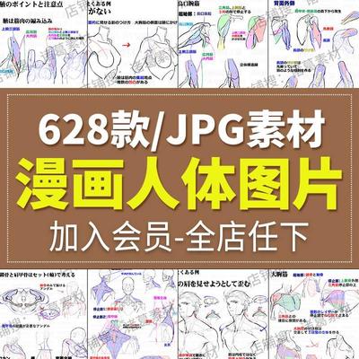 人体角色姿态解剖结构手绘原插漫画素描线稿速写教程美术临摹素材