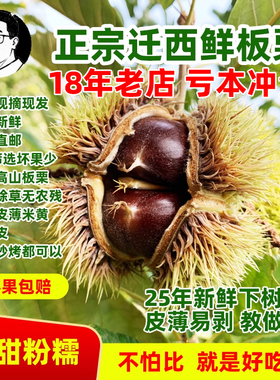 【年货清库】2025年迁西新鲜板栗早期栗子3113生板栗新鲜河北燕山