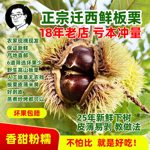 25年迁西新板栗香甜软糯