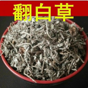 翻白草茶蒲公英茶夏枯球中药材三控茶夏枯草中药材
