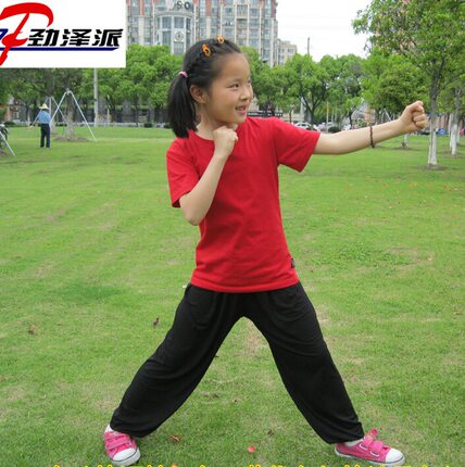 儿童武术服武术短袖T恤武术衫武术裤灯笼裤儿童表演服练功服套装