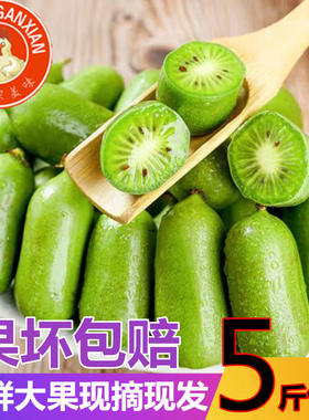 丹东猕猴桃奇异果2号软枣