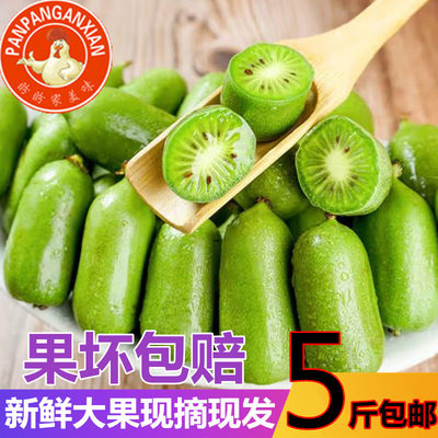 丹东猕猴桃奇异果2号软枣