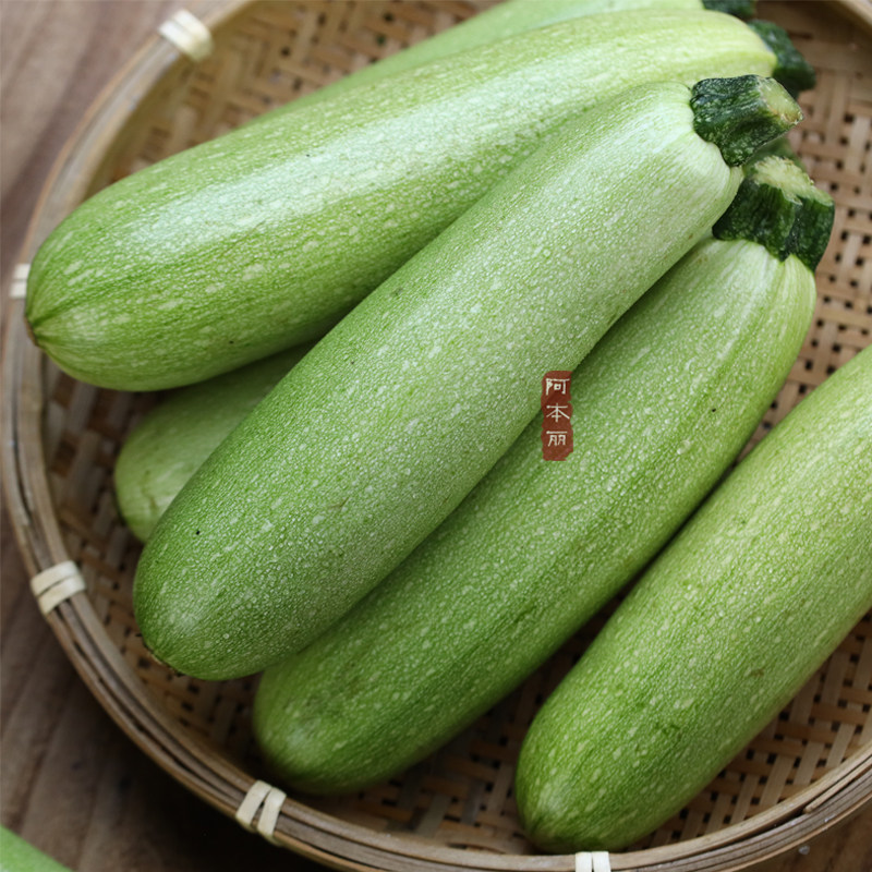 阿本丽云南露天西葫芦瓜新鲜现摘时令蔬菜农家种植三月小瓜嫩茭瓜
