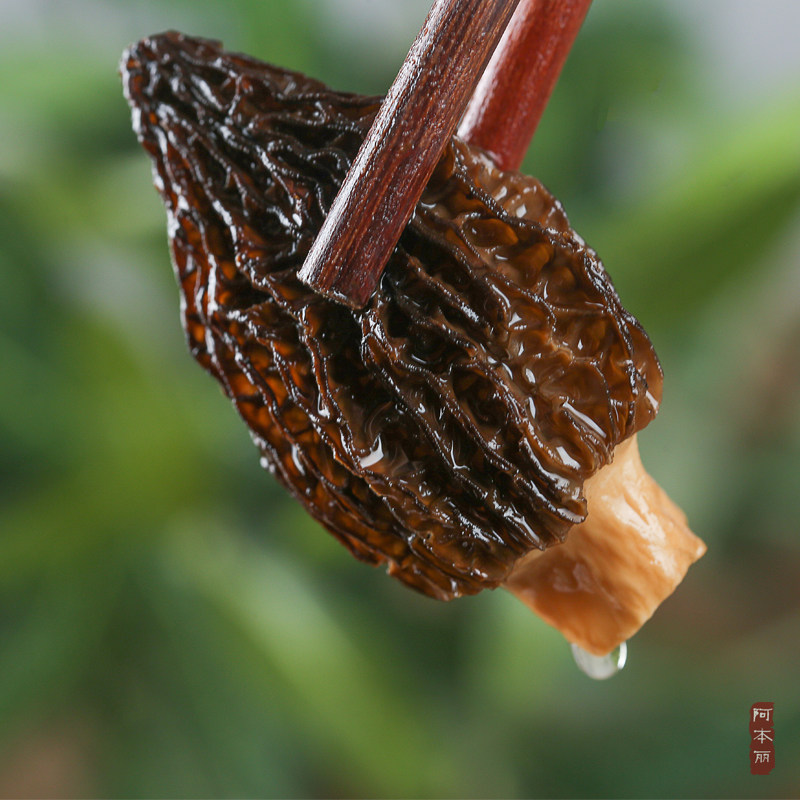 阿本丽云南野生羊肚菌高原自然生长香味浓干货50克,粮油调味/速食/干货/烘焙,羊肚菌,淘宝优惠券,粉丝福利购,淘宝优惠卷