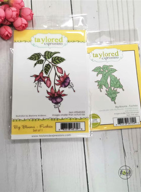 Taylored Expressions绽放花朵 Big Blooms Fuchsia 进口橡皮印章