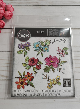 Sizzix 迷你画笔花 Brushstroke Flowers Mini 进口切模