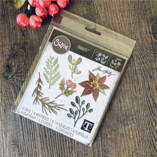 Large 节日花 Funky Festive 进口切模 Sizzix Florals 美好