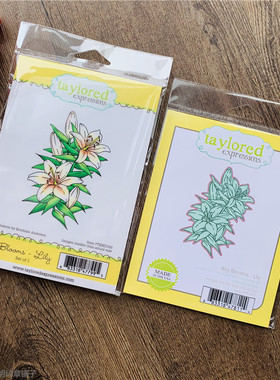 Taylored Expressions 百合花 Big Blooms - Lily 进口橡皮印章