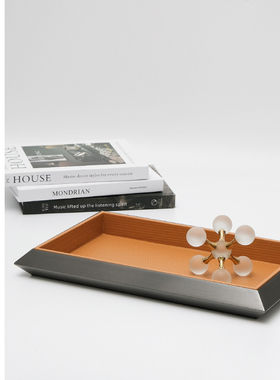 棕轻奢仿皮质厚金属边托盘样板间售楼处软装饰品桌面摆件