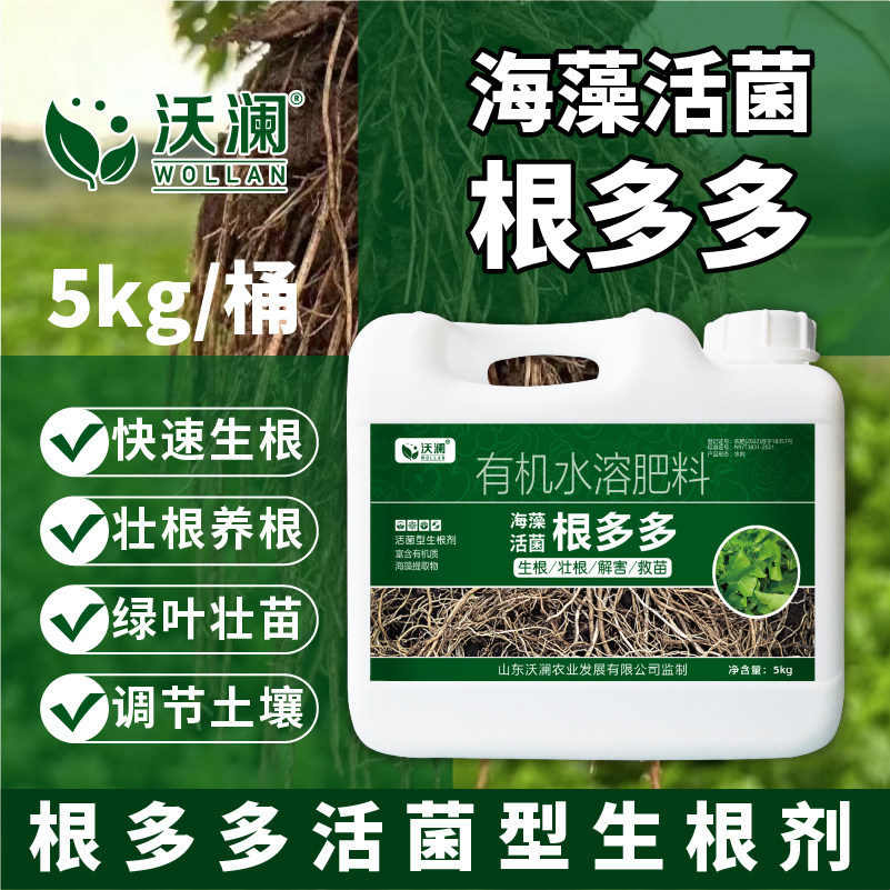 根多多生根壮苗剂水溶肥海藻肥