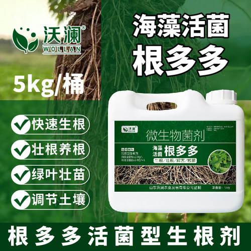 根多多生根壮苗剂水溶肥海藻肥