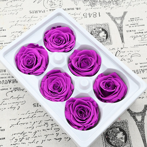 永生花独角兽销量排行榜 永生花独角兽品牌热度排名 小麦优选