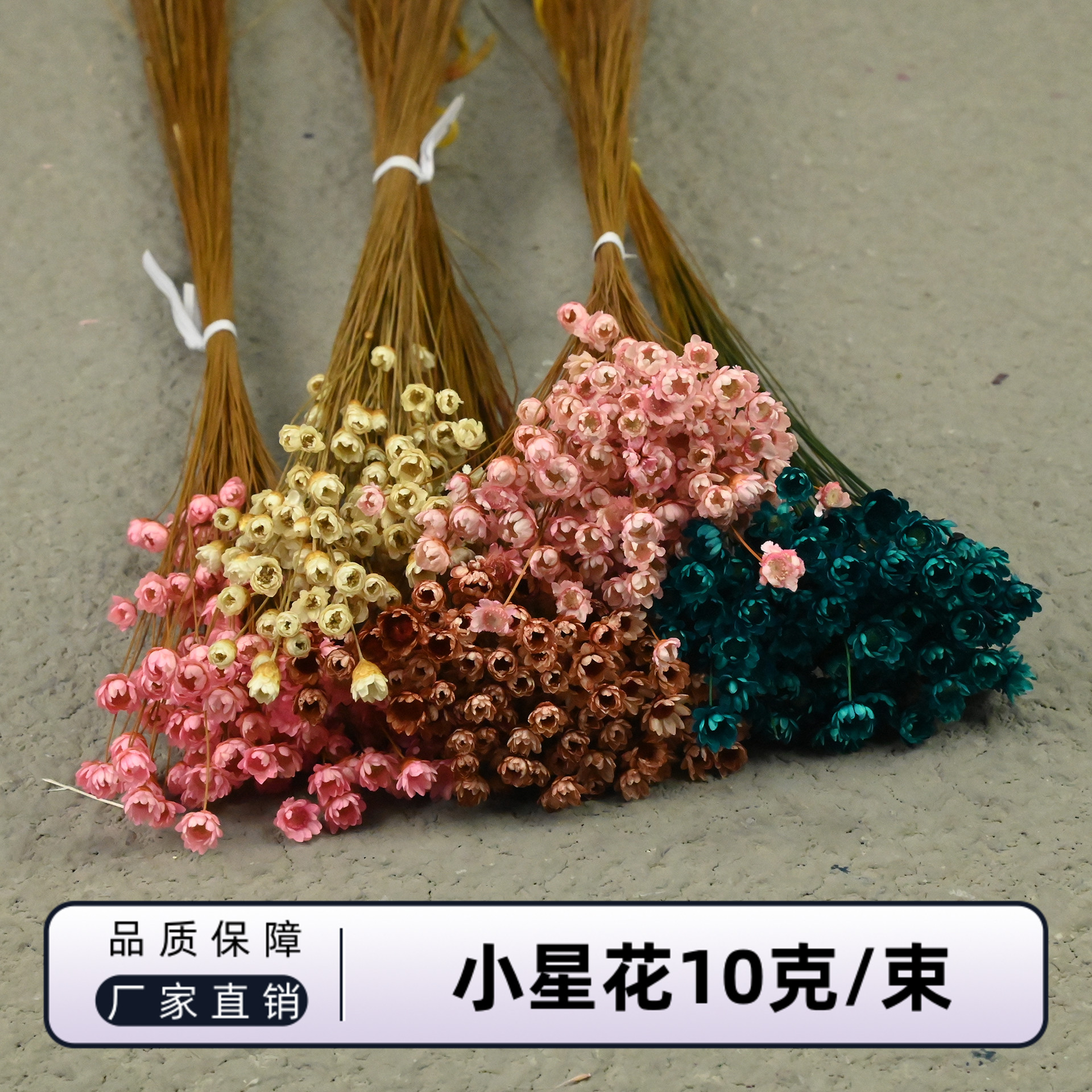 幻花干花小星花10克/束厂家直销