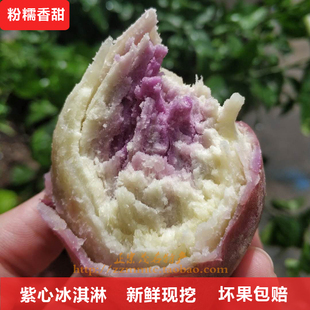 冰淇激淋白紫心板栗干瓢面粉糯甜一点红小香番薯地瓜山芋新鲜现挖