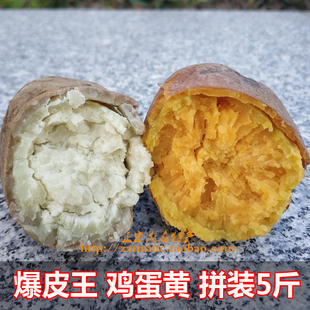 爆皮王鸡蛋黄板栗薯干瓢粉面甜蜜番薯新鲜现挖番薯农产品产地直销