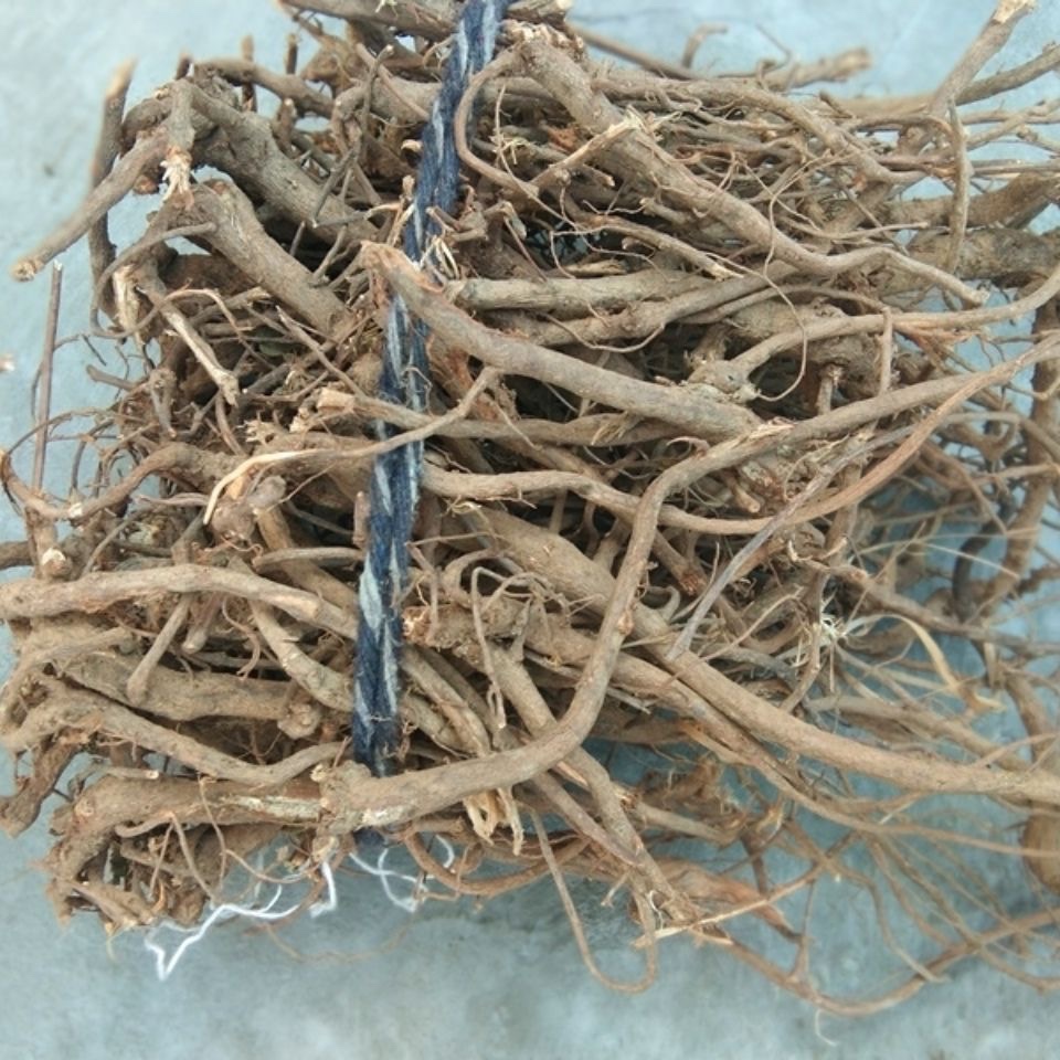 天然千斤拔 一条根 钻地风 金鸡落地 老鼠尾 牛顿 土黄芩纯根500g