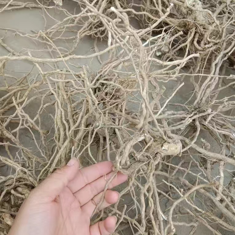 天然丝瓜根 纯根整根干货 250g包邮