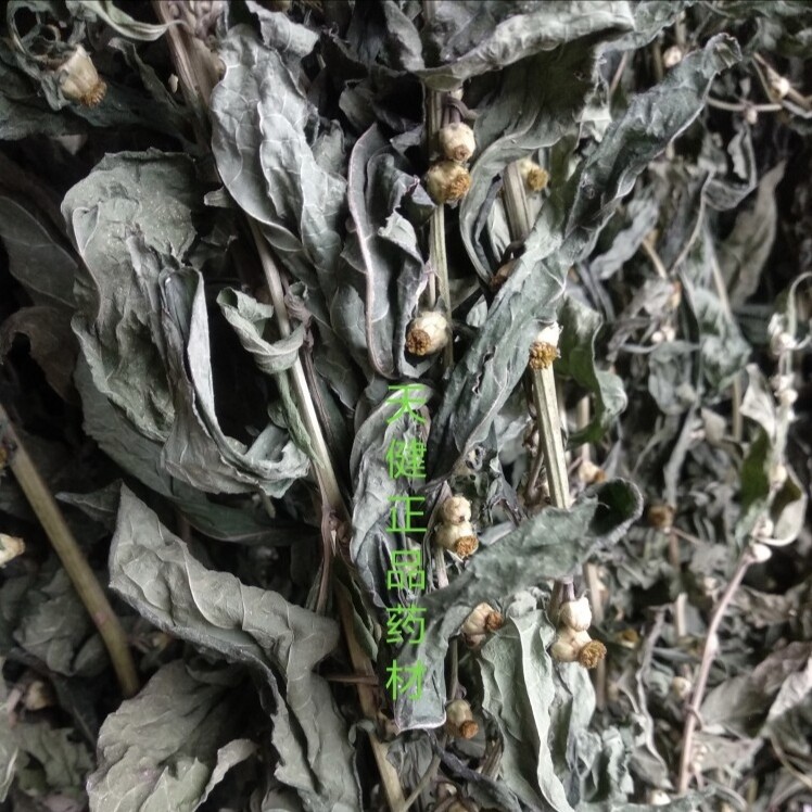 天然天名精 天门精 鹿活草 臭草 野山烟 肥猪苗 全草干货500g包邮
