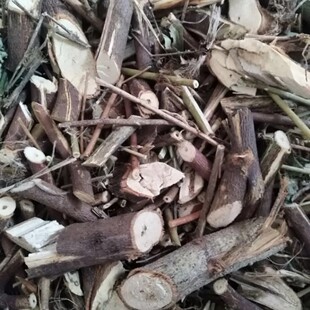 天然红花虱母头肖梵天花狗脚迹 刺头婆 痴头婆地桃花干货500g