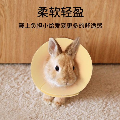 小宠伊丽莎白圈绝育圈
