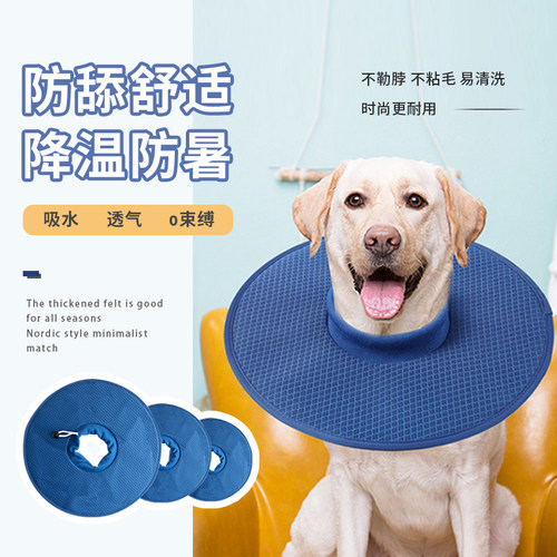 防暑透气狗狗网眼布项圈