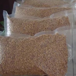 湖北钟祥炒米茶米新米茶手工炒代餐粥荆门特产曲米茶玄米买四送一
