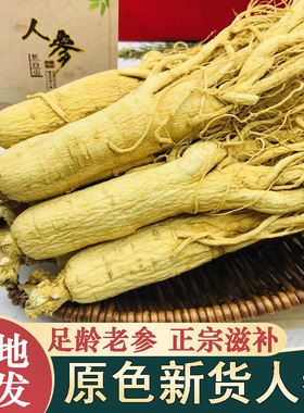 人参生晒参吉林白参干货切片野山参泡酒东北长白山特产优质原皮参