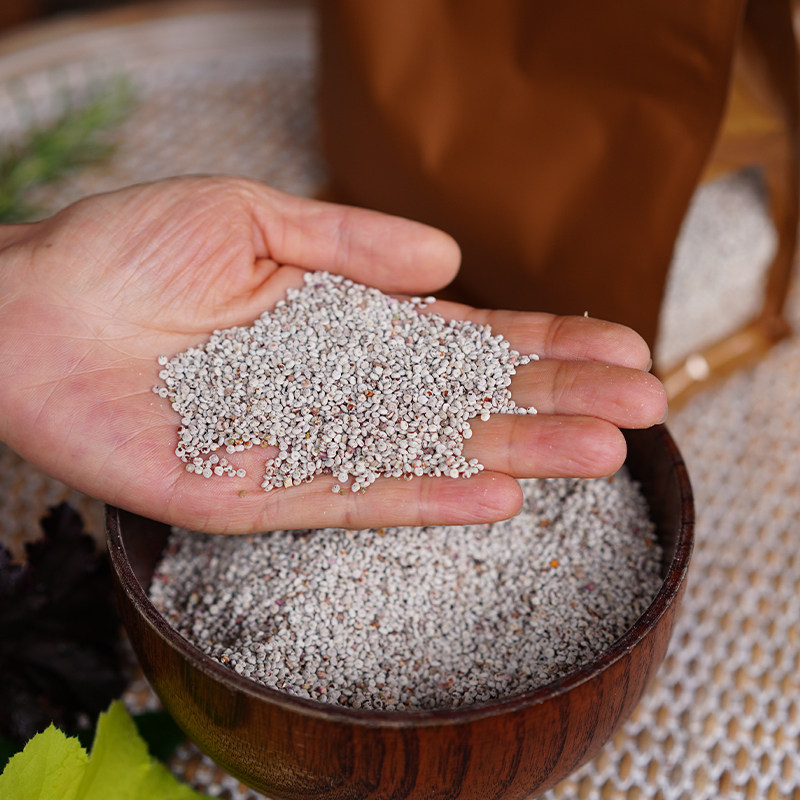 阳光膳食 云南高原藜麦原粮无抛光无蜡香气浓郁口感Q弹营养丰富,粮油调味/速食/干货/烘焙,藜麦,淘宝优惠券,粉丝福利购,淘宝优惠卷