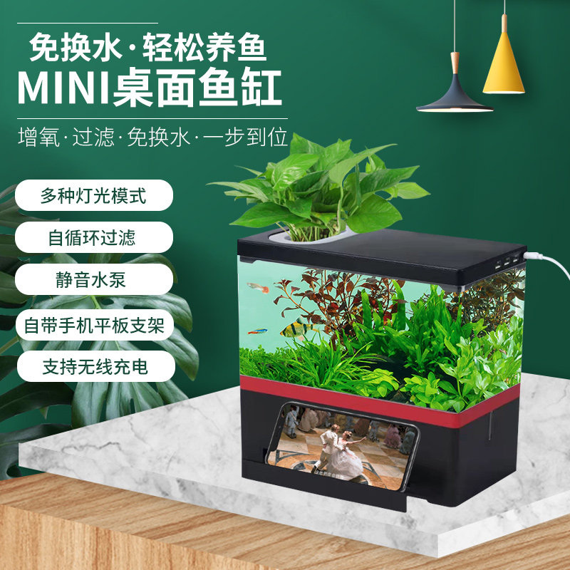 桌面生态鱼缸观赏鱼静音水族箱USB接口5V电压LED亚克力材质带支架