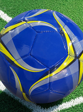 青少年室内外训练比赛5号football机缝PVC加厚防爆成人世界杯足球