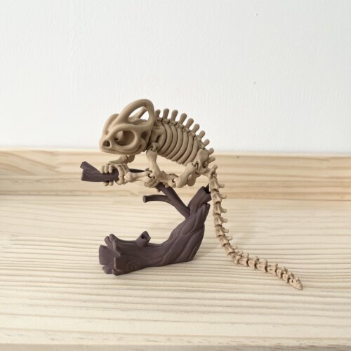 变色龙蜥蜴骨架关节可动模型手办Chameleon skeleton儿童玩具礼物