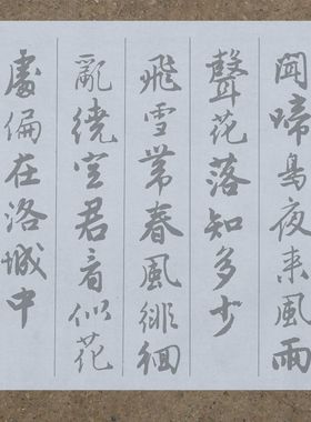 唐伯虎行书五言诗十七首水写布