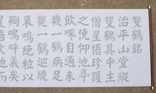 颜真卿颜体楷书双鹤铭水写布 毛笔书法清水万次练字