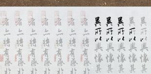 条件反射练习法反复练习 王羲之兰亭序水写布 毛笔书法万次练字